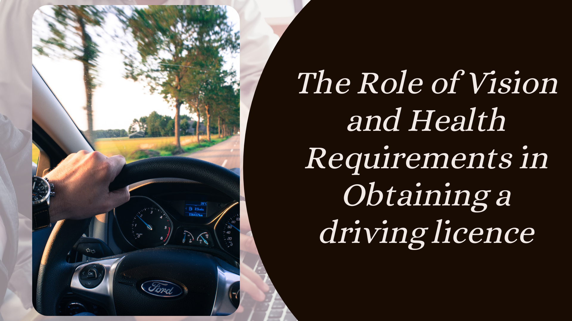 The Role of Vision and Health Requirements in Obtaining a driving licence